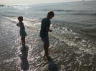 E78FDDB6-9A6E-46A9-8094-C0299EB44CDA