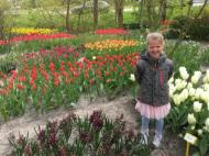 dd471ea0-16df-453c-b416-92c4cdb84fee