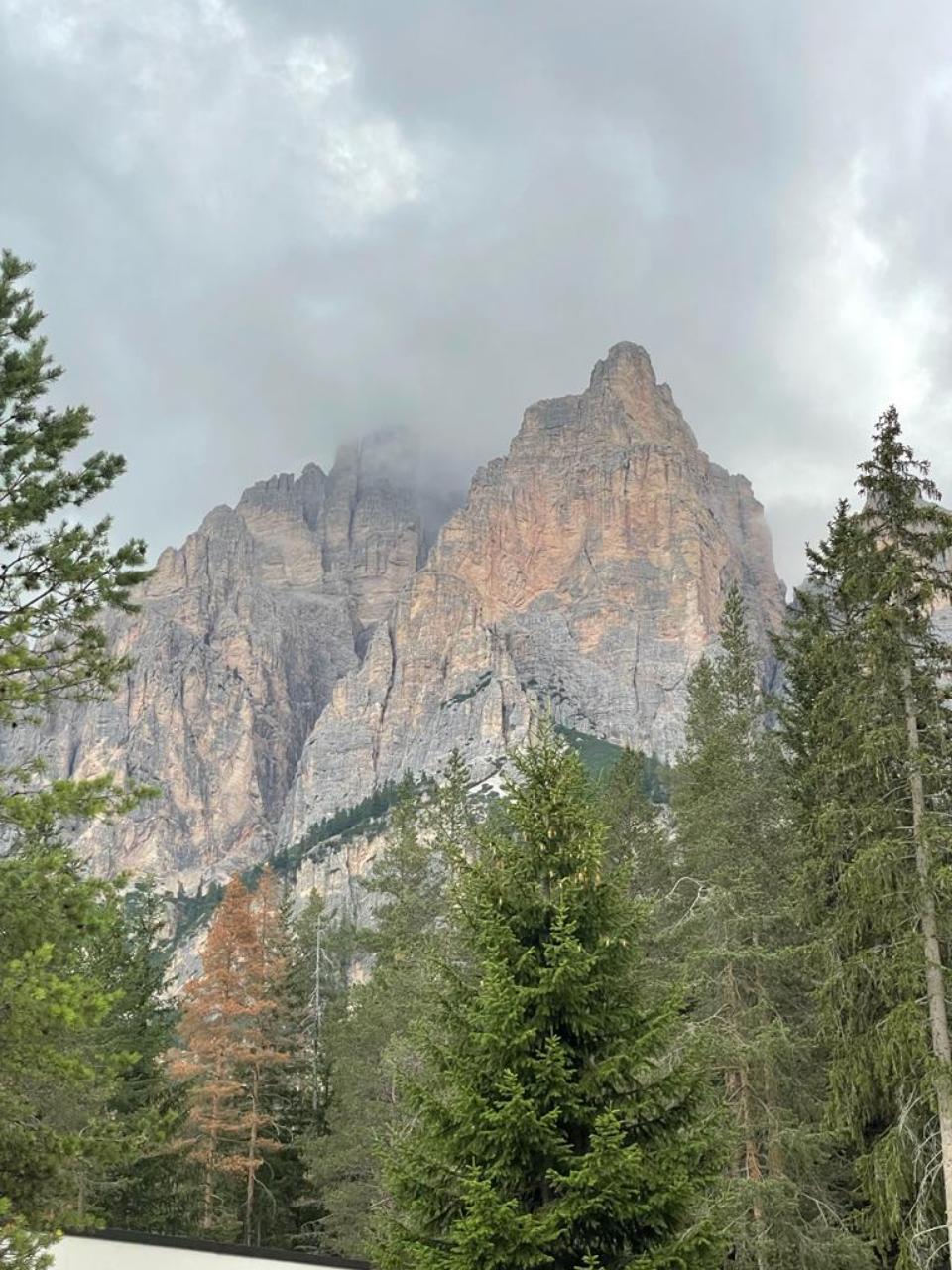 46E803A3-6C55-4A9C-8A77-00F639334D86