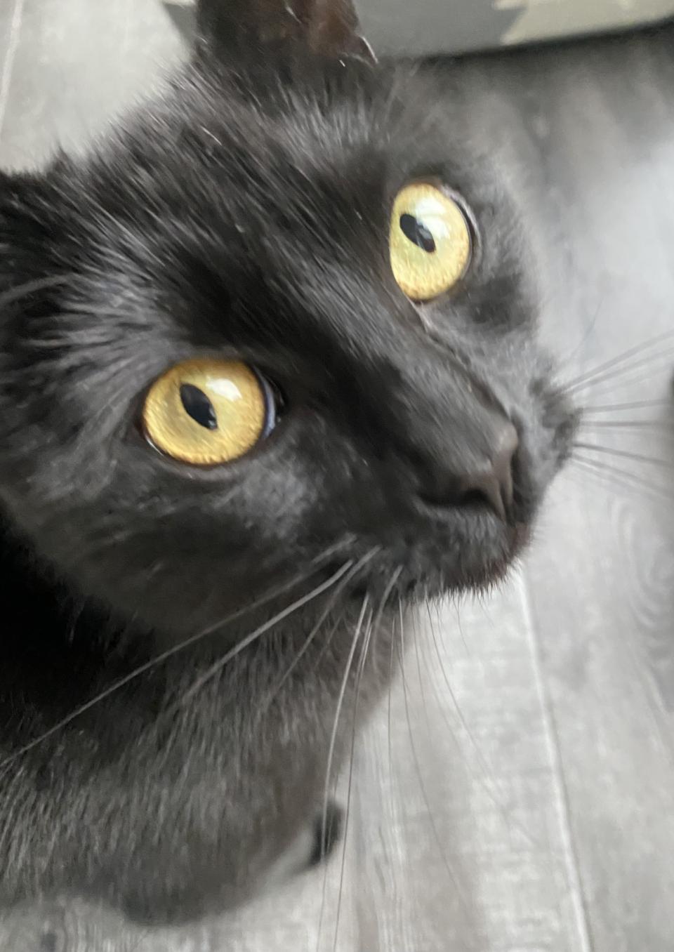 AEBFD8BF-722A-4097-A10E-191E688C4BB1