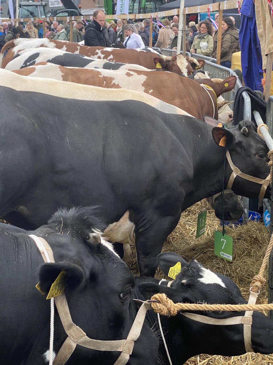 0515D2E8-71AC-464E-8F5A-D95ADAB66CE2