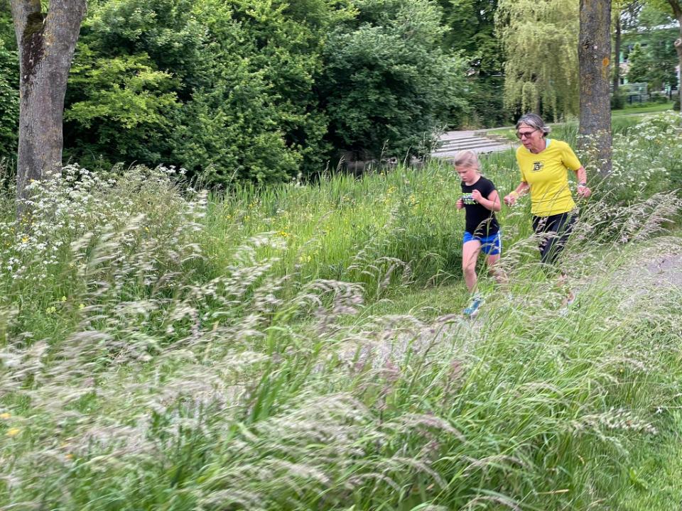 228a47f2-290f-4cff-81b8-25cc52351557