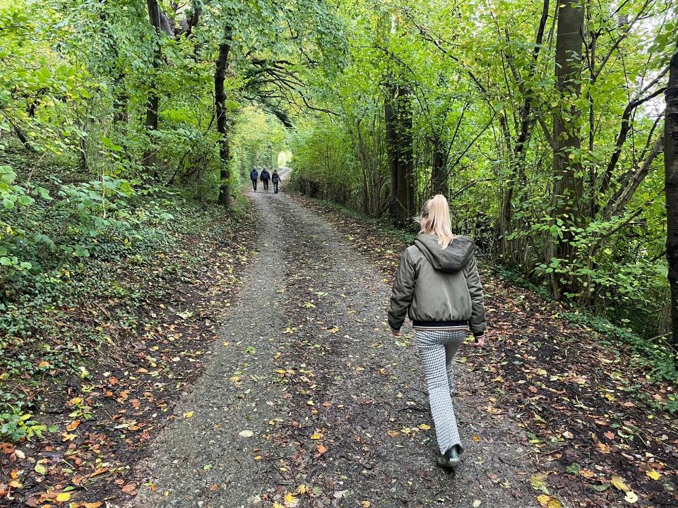 113682dc-2b5a-4514-8c9b-7bf2e87e2f11