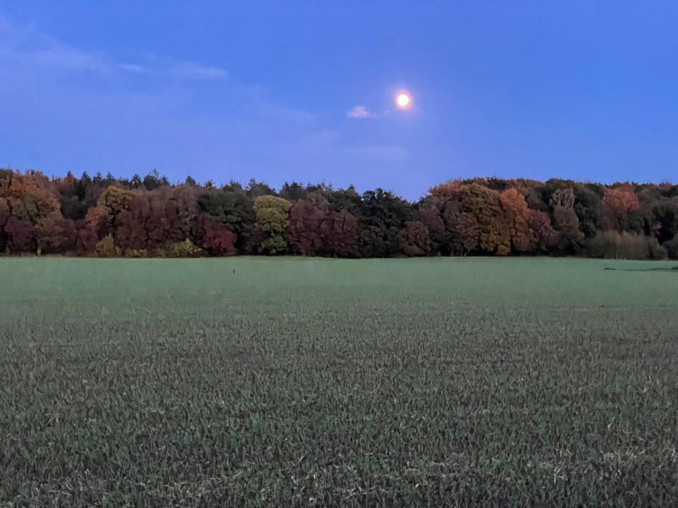 3b3d2c50-1506-48d3-afa8-352c504c0e54