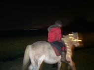 71009ebe-e174-45f1-a82e-dec5578e8096