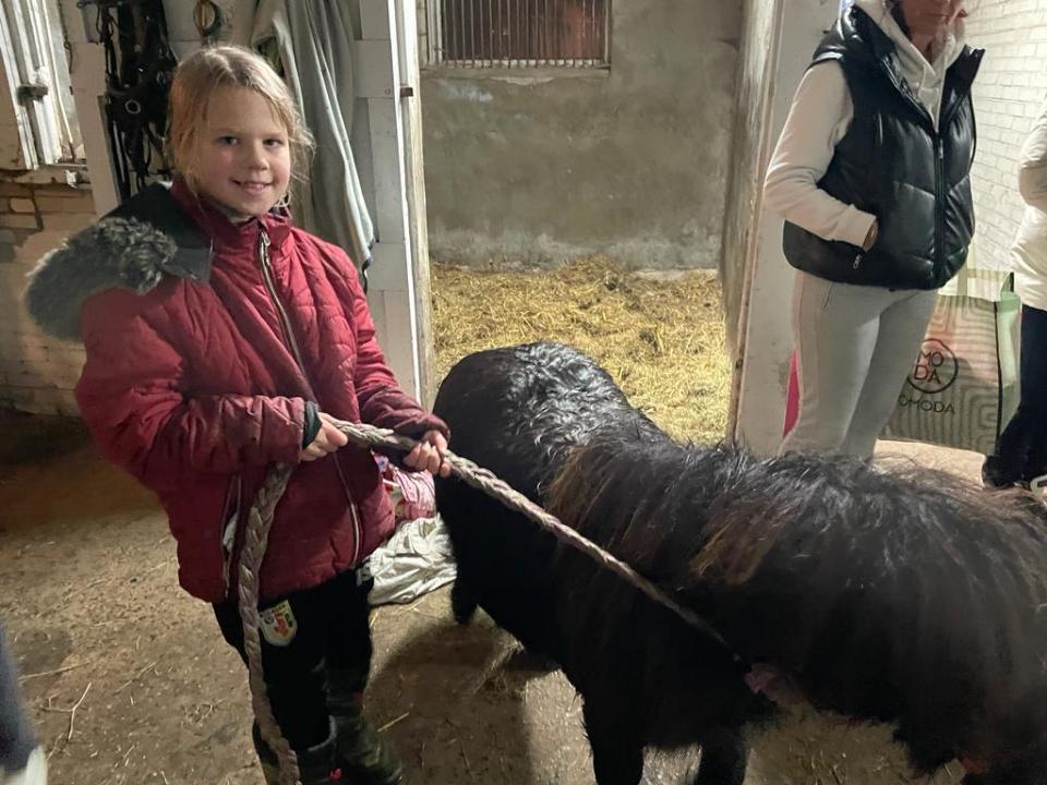 e523c7e3-573c-4b43-bb22-224e1da620aa