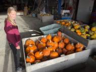 50def991-ad9f-4923-aa34-4ce973a2aa0e