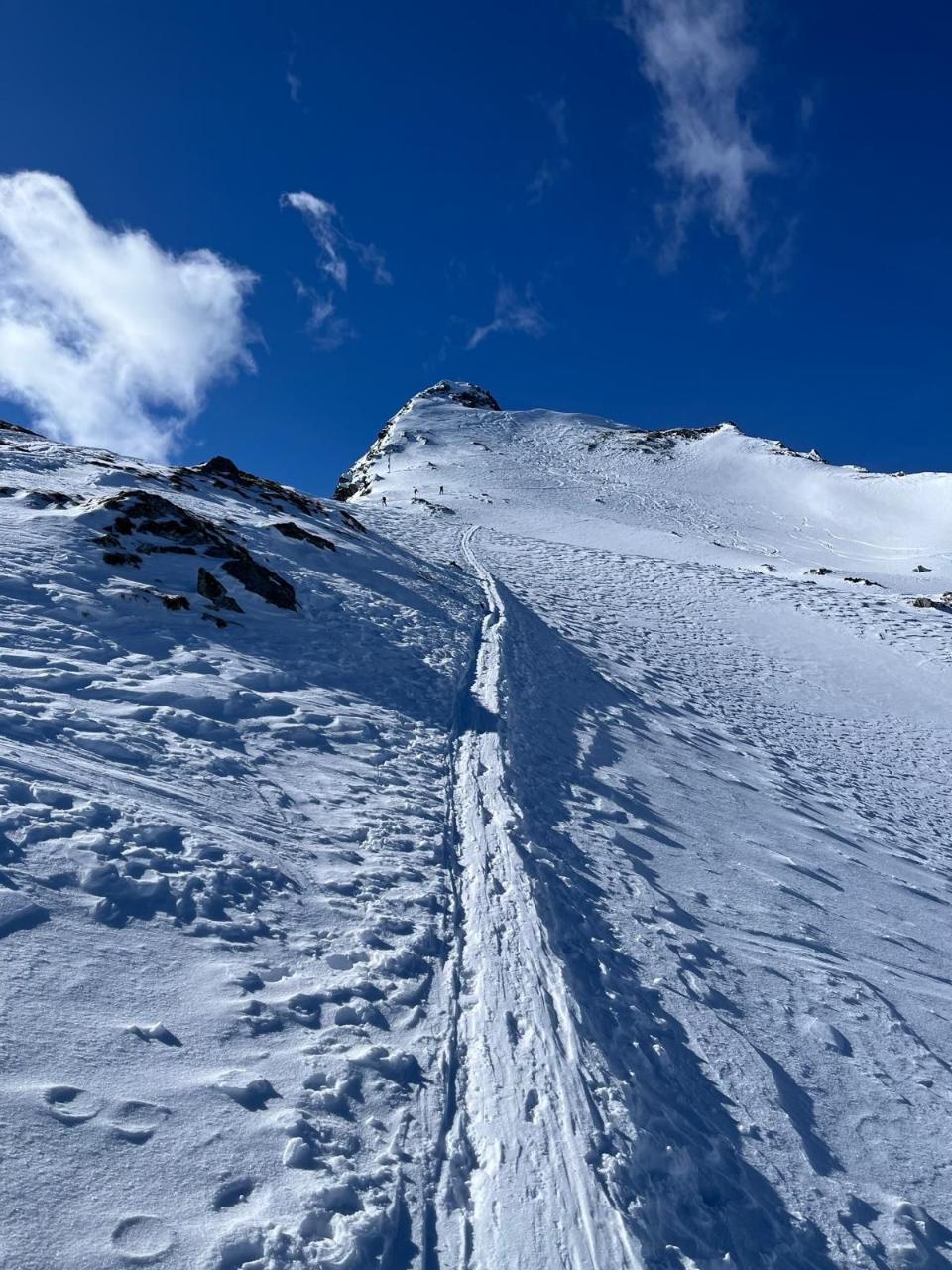 3ee19d37-8589-4967-b5a5-0b7a4c190cea